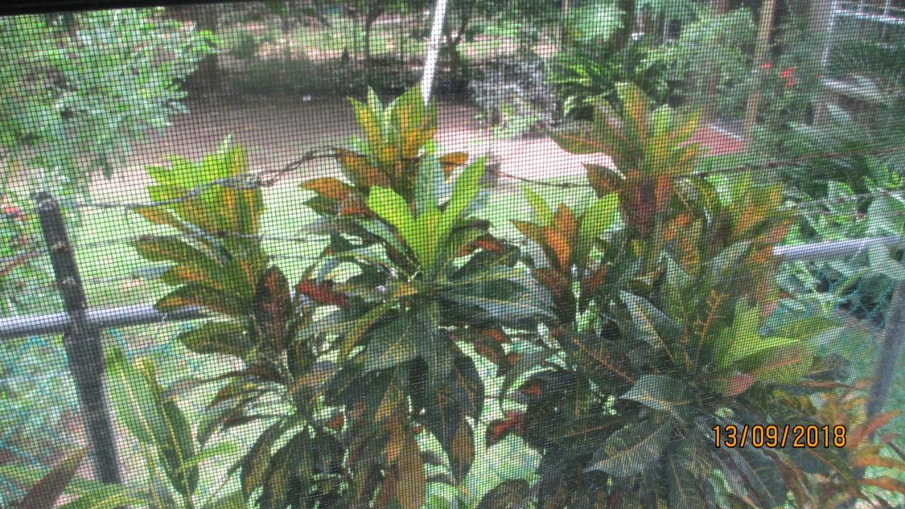 Tropical Breeze Vacation Home And Apartments Gros Islet Bagian luar foto