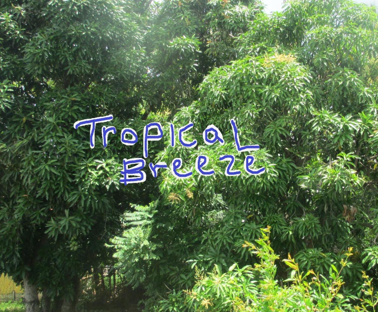 Tropical Breeze Vacation Home And Apartments Gros Islet Bagian luar foto